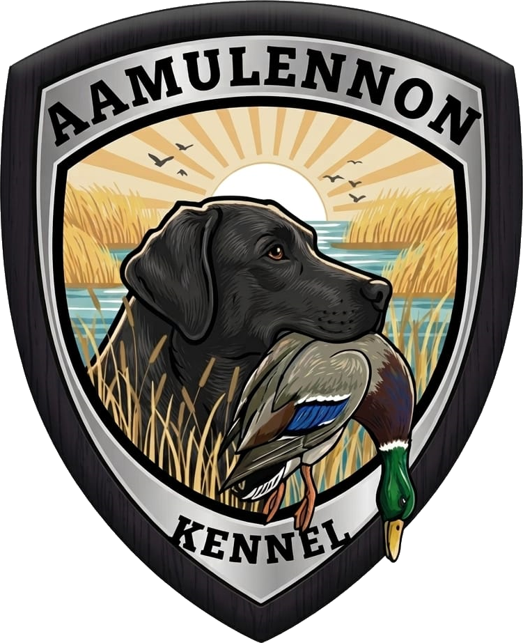Aamulennon Kennel